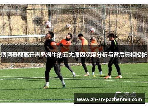 博阿基耶离开青岛海牛的五大原因深度分析与背后真相揭秘 博阿基耶离开青岛海牛的五大原因深度分析与背后真相揭秘