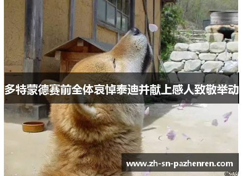 多特蒙德赛前全体哀悼泰迪并献上感人致敬举动 多特蒙德赛前全体哀悼泰迪并献上感人致敬举动