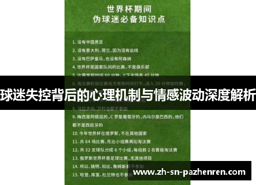 球迷失控背后的心理机制与情感波动深度解析