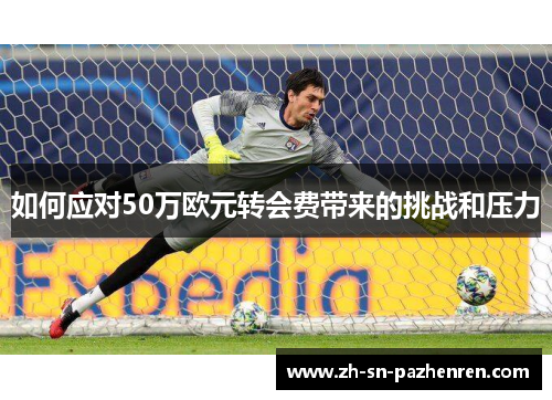 如何应对50万欧元转会费带来的挑战和压力 如何应对50万欧元转会费带来的挑战和压力