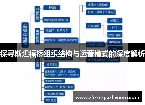 探寻斯坦福桥组织结构与运营模式的深度解析 探寻斯坦福桥组织结构与运营模式的深度解析