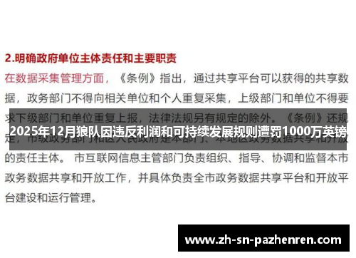 2025年12月狼队因违反利润和可持续发展规则遭罚1000万英镑 2025年12月狼队因违反利润和可持续发展规则遭罚1000万英镑